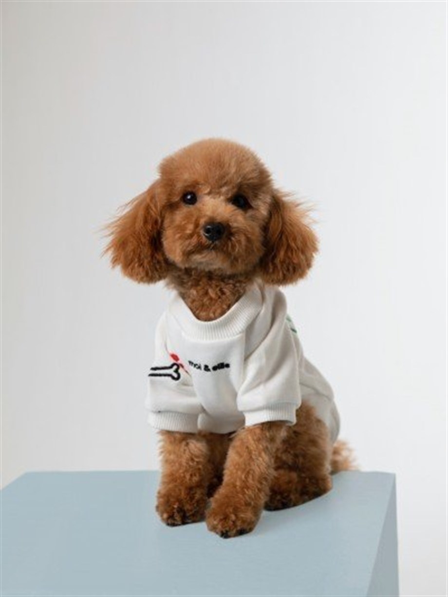 Moi and Ellie Moi Köpek Sweatshirt