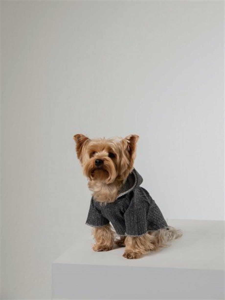 Moi and Ellie Murphy Hoodie Köpek Sweatshirt