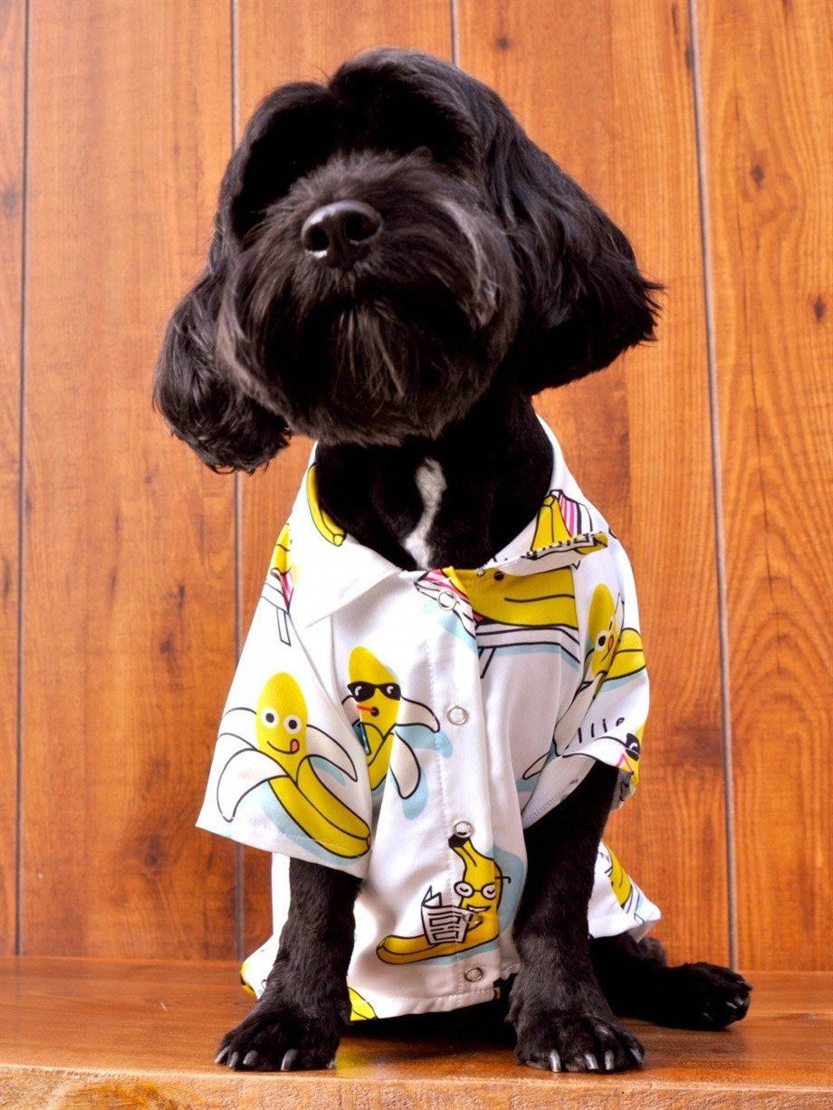 Moi and Ellie Sleepy Banana Shirt