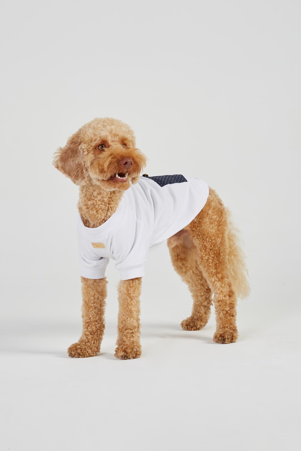 Monido Köpek Tişört - Beyaz ve Puantiyeli Cep Detaylı