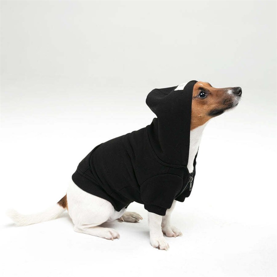Mons Bons Marco Dog Hoodie Köpek Siyah