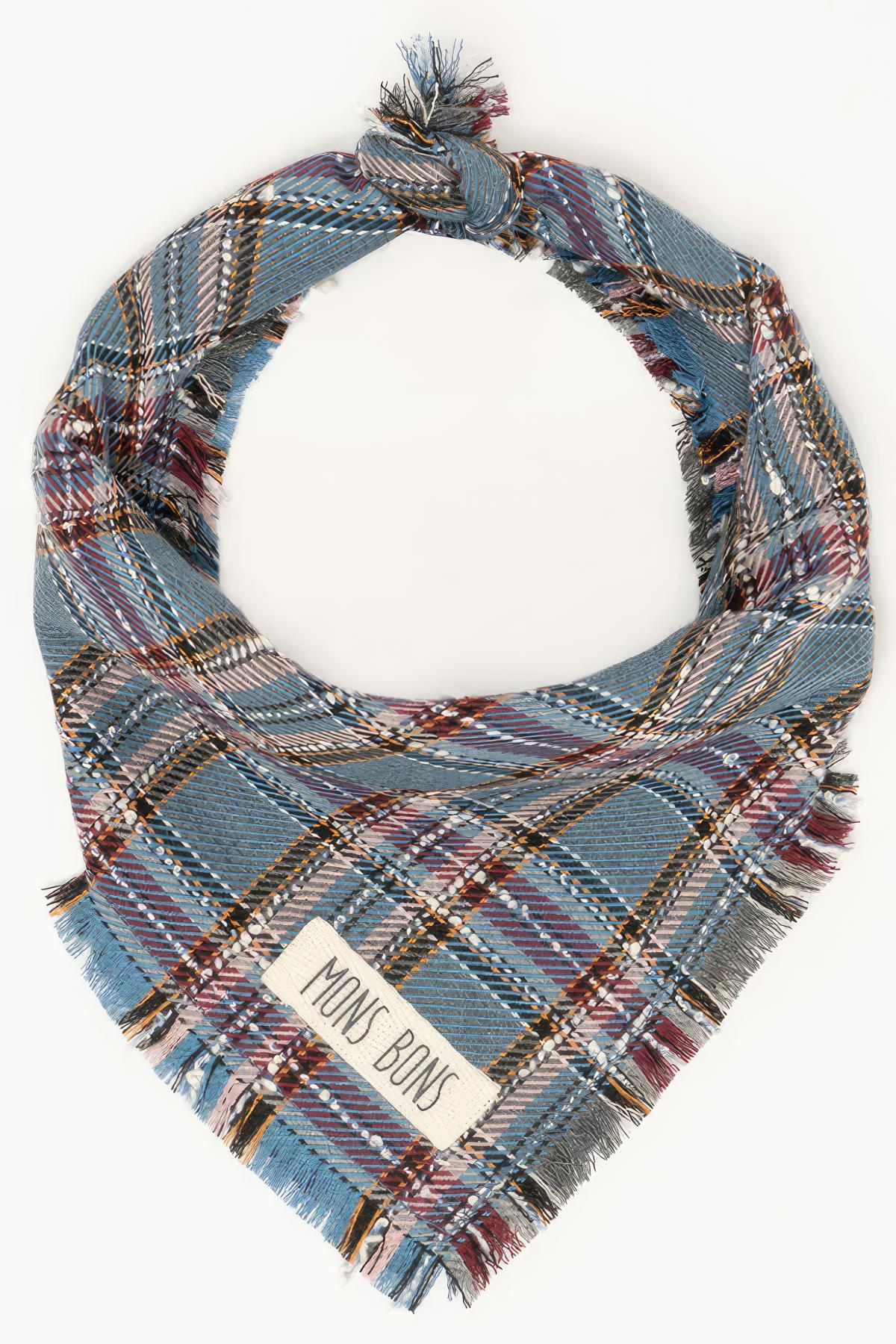 Mons Bons Ramon Dog Bandana-Blue