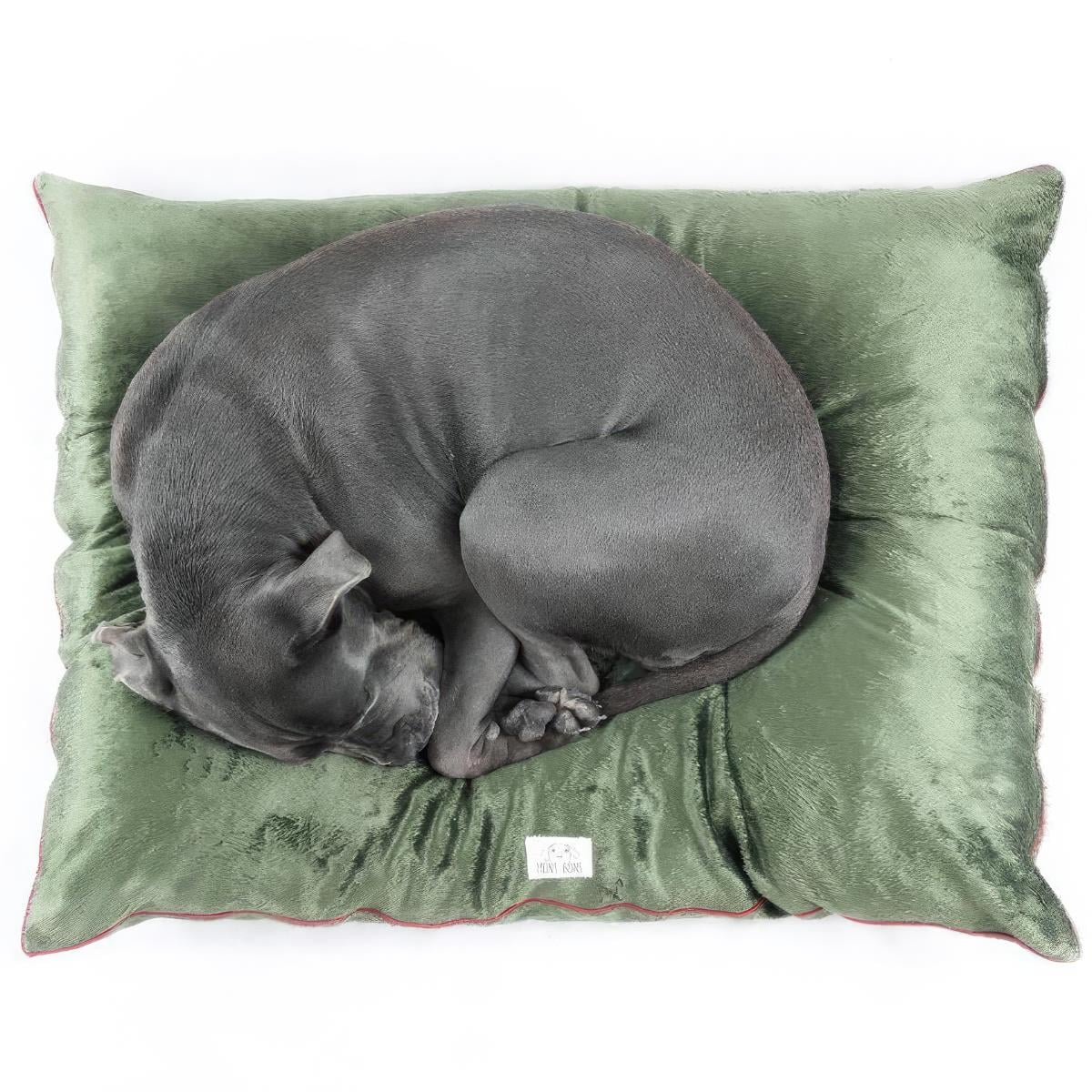 mons-bons-velvet-minder-haki-kopek-yas-7-9c83.jpg