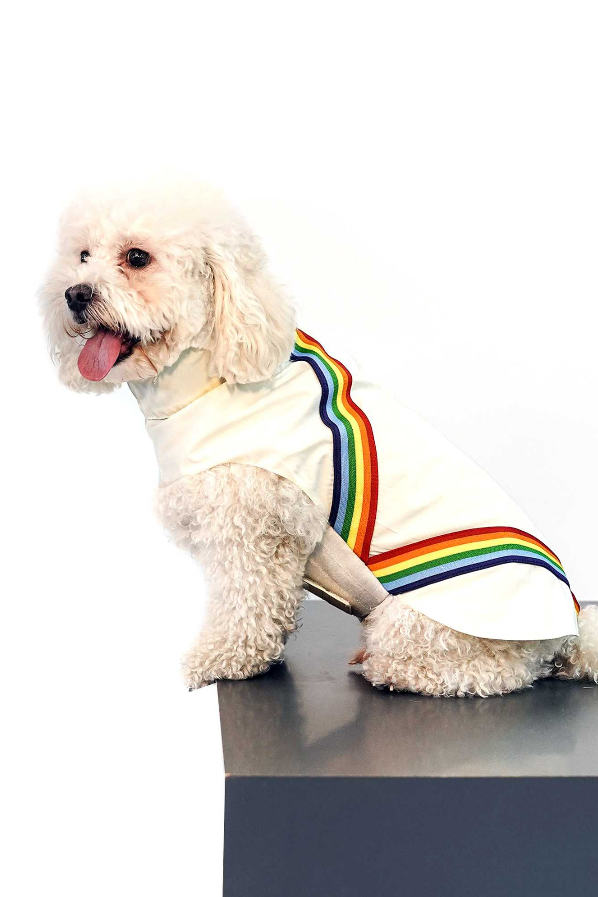 Muwa rainbow yağmurluk