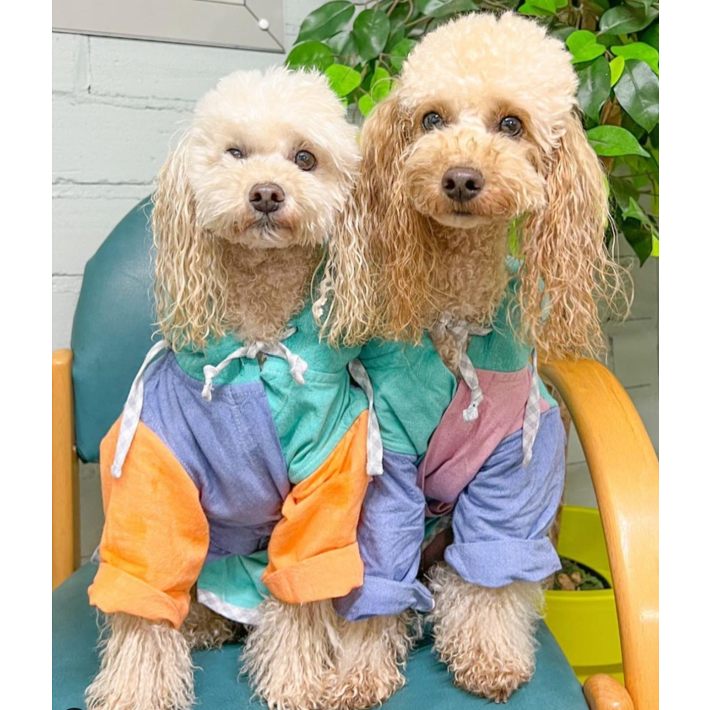 my Magic Robe Earth Puppy Köpek Bornozu