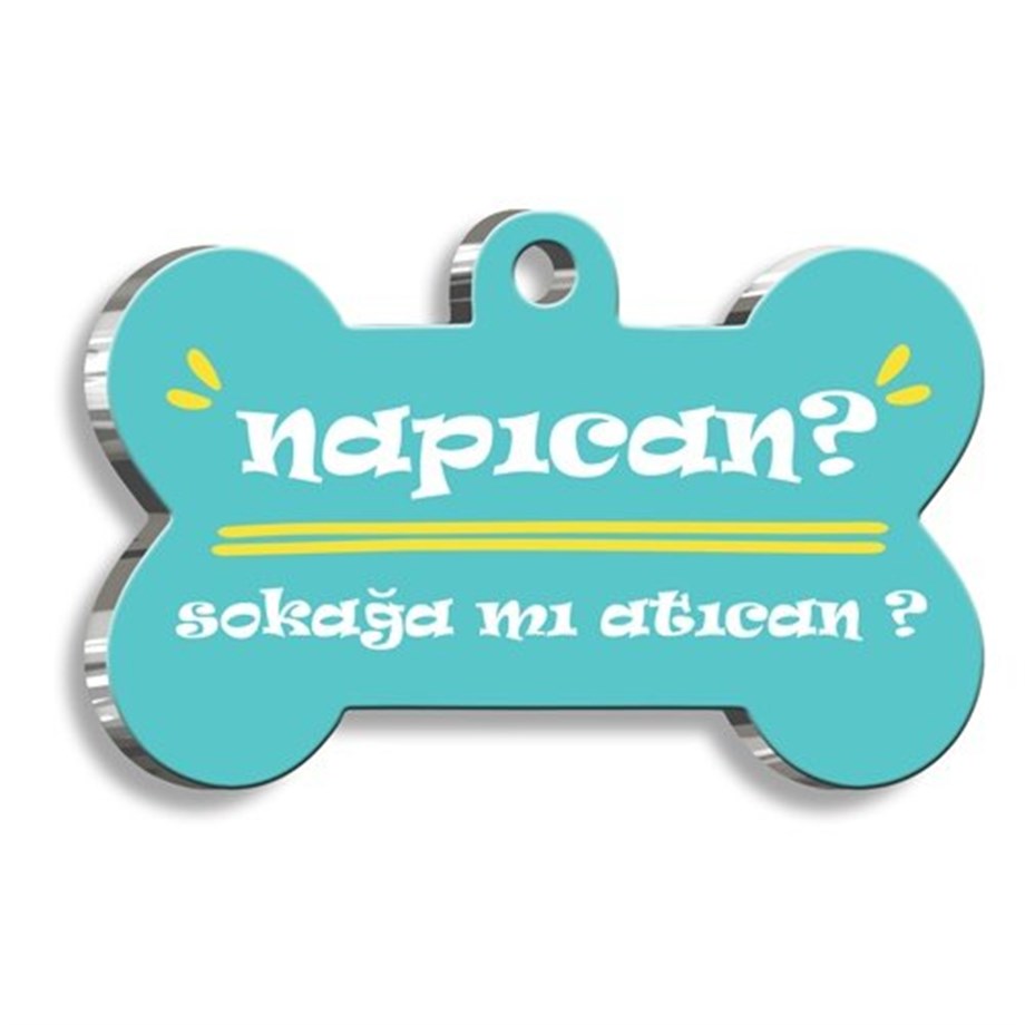 Napican? Blue Bone Shaped Dog Tag