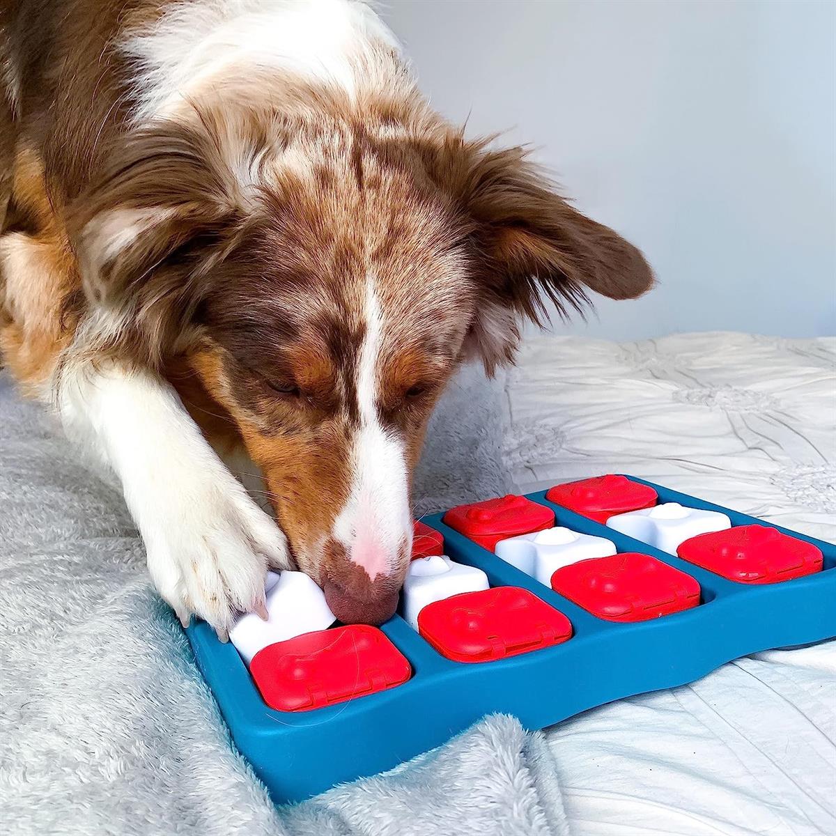 Nina Ottosson Outward Hound Dog Brick - Leckerlis için etkileşimli köpek  oyuncağı Medium- Eğitim ve Zeka Geliştirici Oyuncaklar