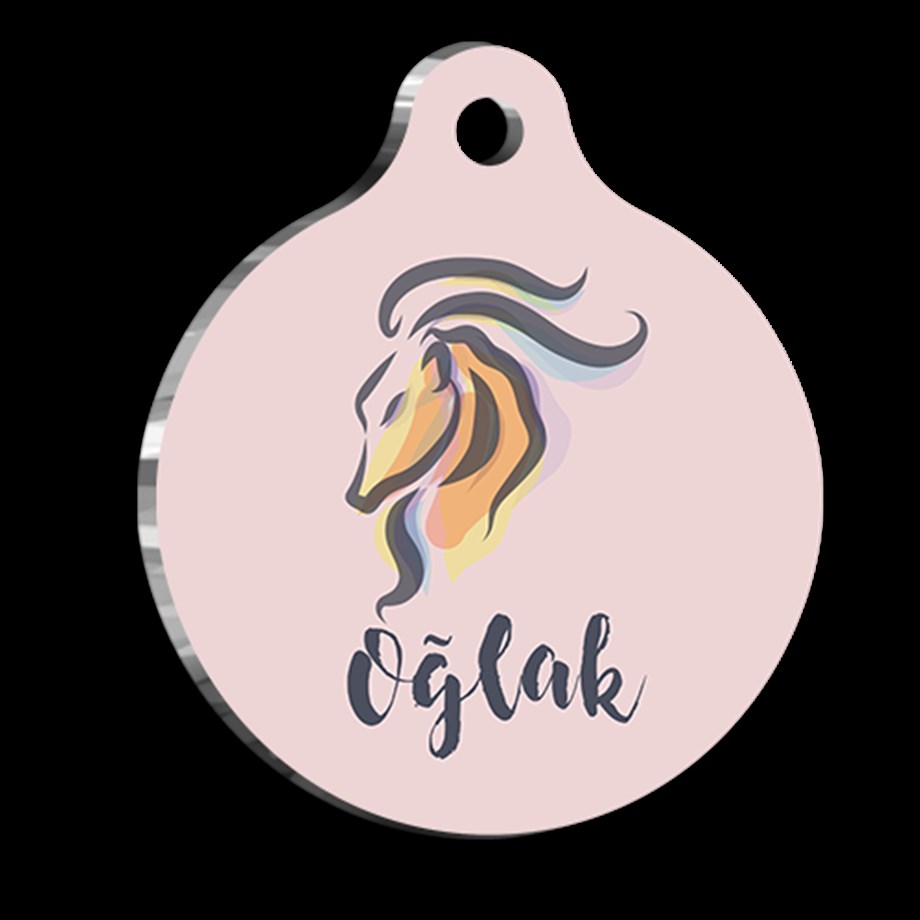 Capricorn Cat Dog Tag