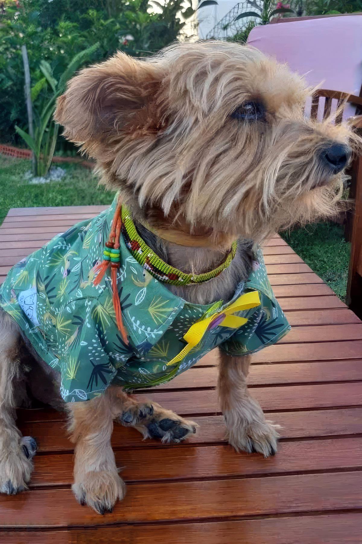 Oli And Lui Parrot Dog Shirt