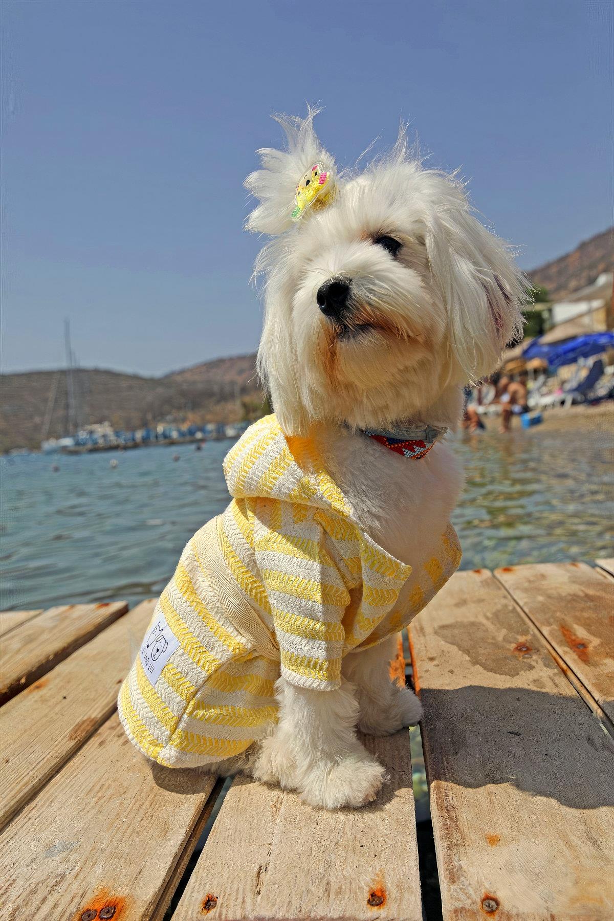oli-and-lui-sunny-sari-pestemal-kumas--0f33f8.jpg