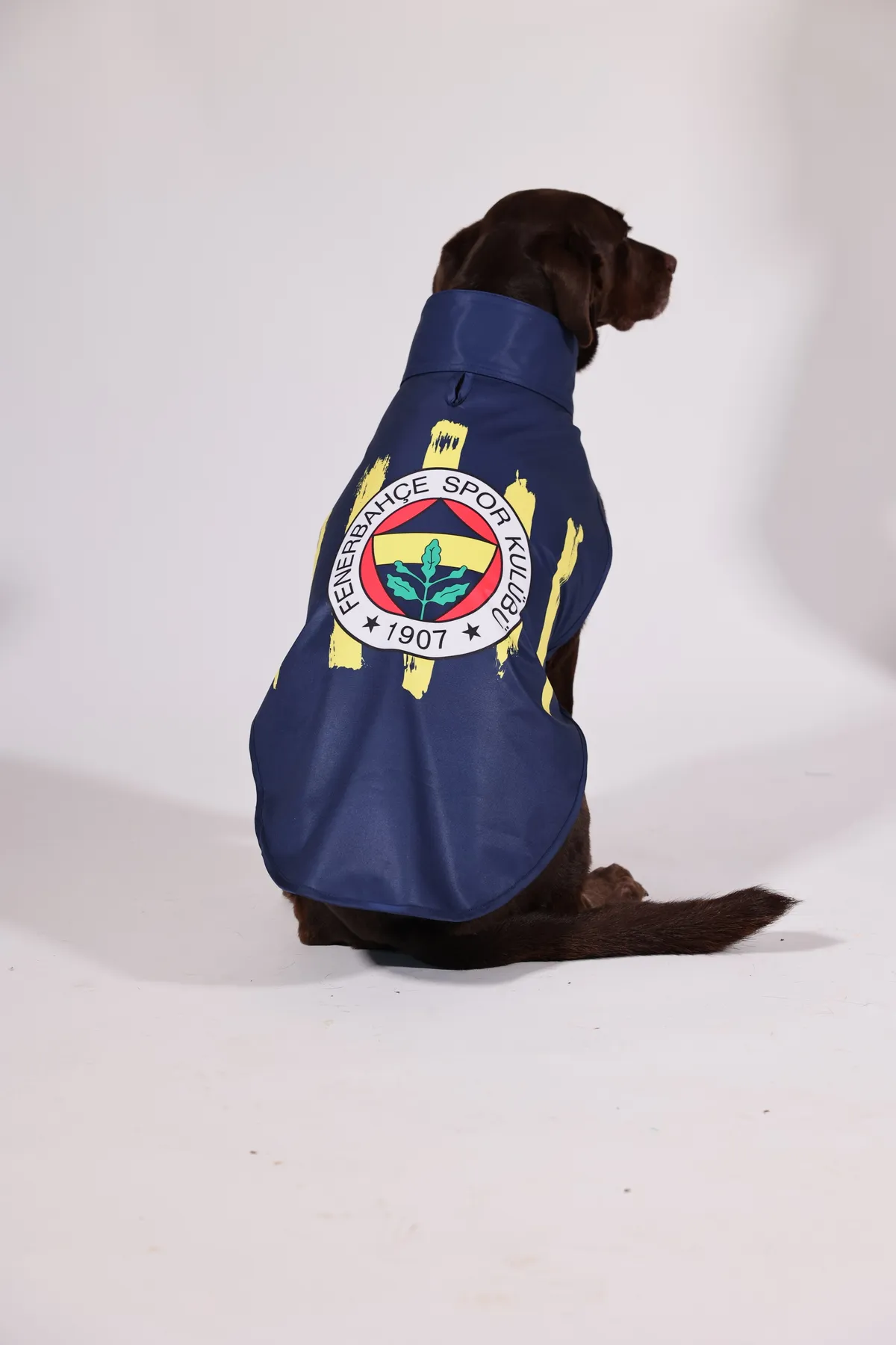 Pawlook Fenerbahçe Lisanslı Köpek Yağmurluğu