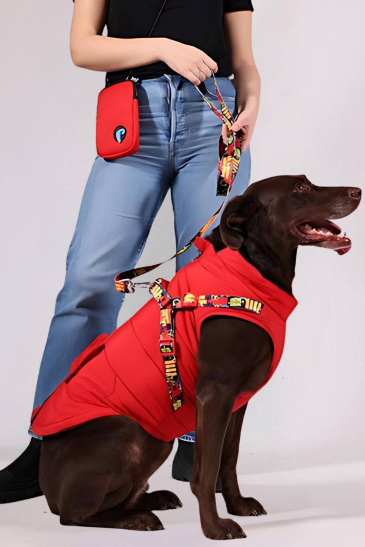 Pawlook Göğüs Tasmalı Köpek Montu Kırmızı