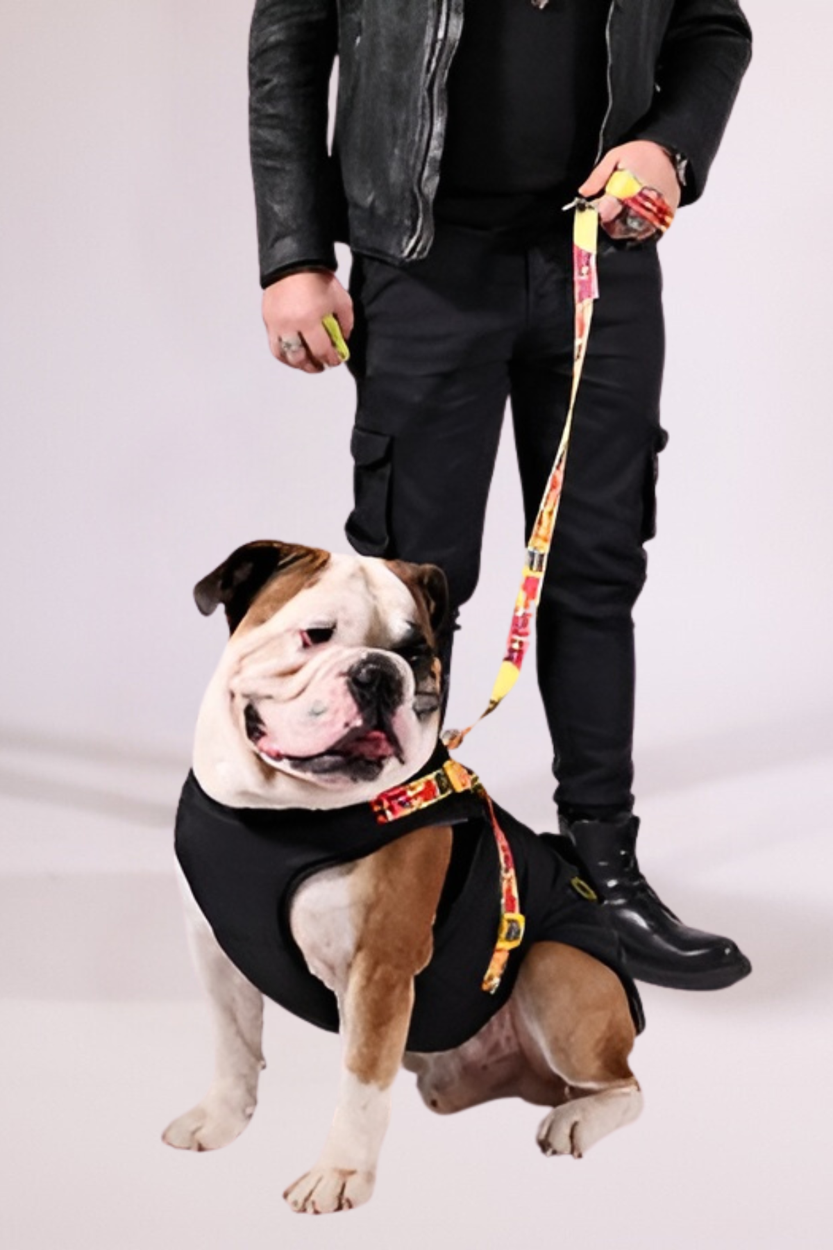 Pawlook Göğüs Tasmalı Köpek Montu Siyah