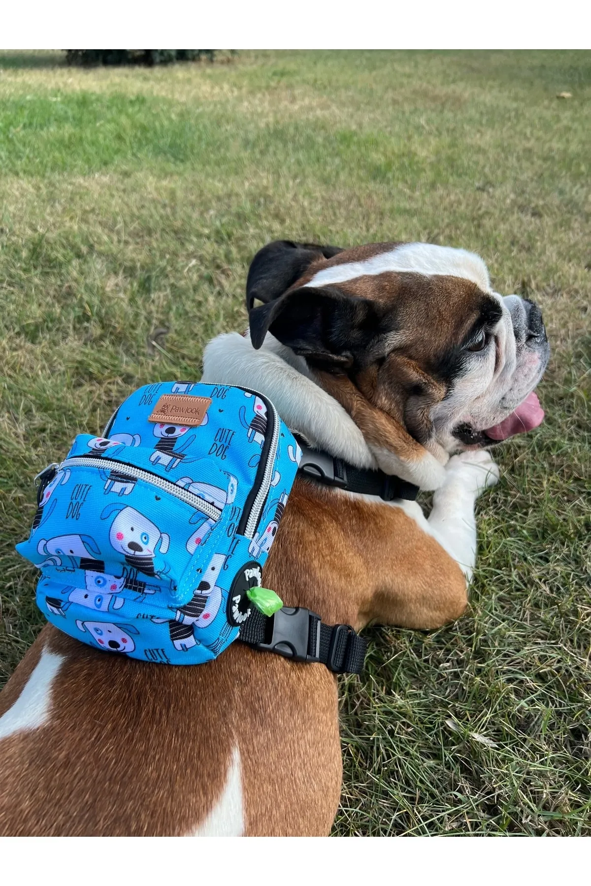 Pawlook Köpek Göğüs Tasması Sırt Çantası Cutedog