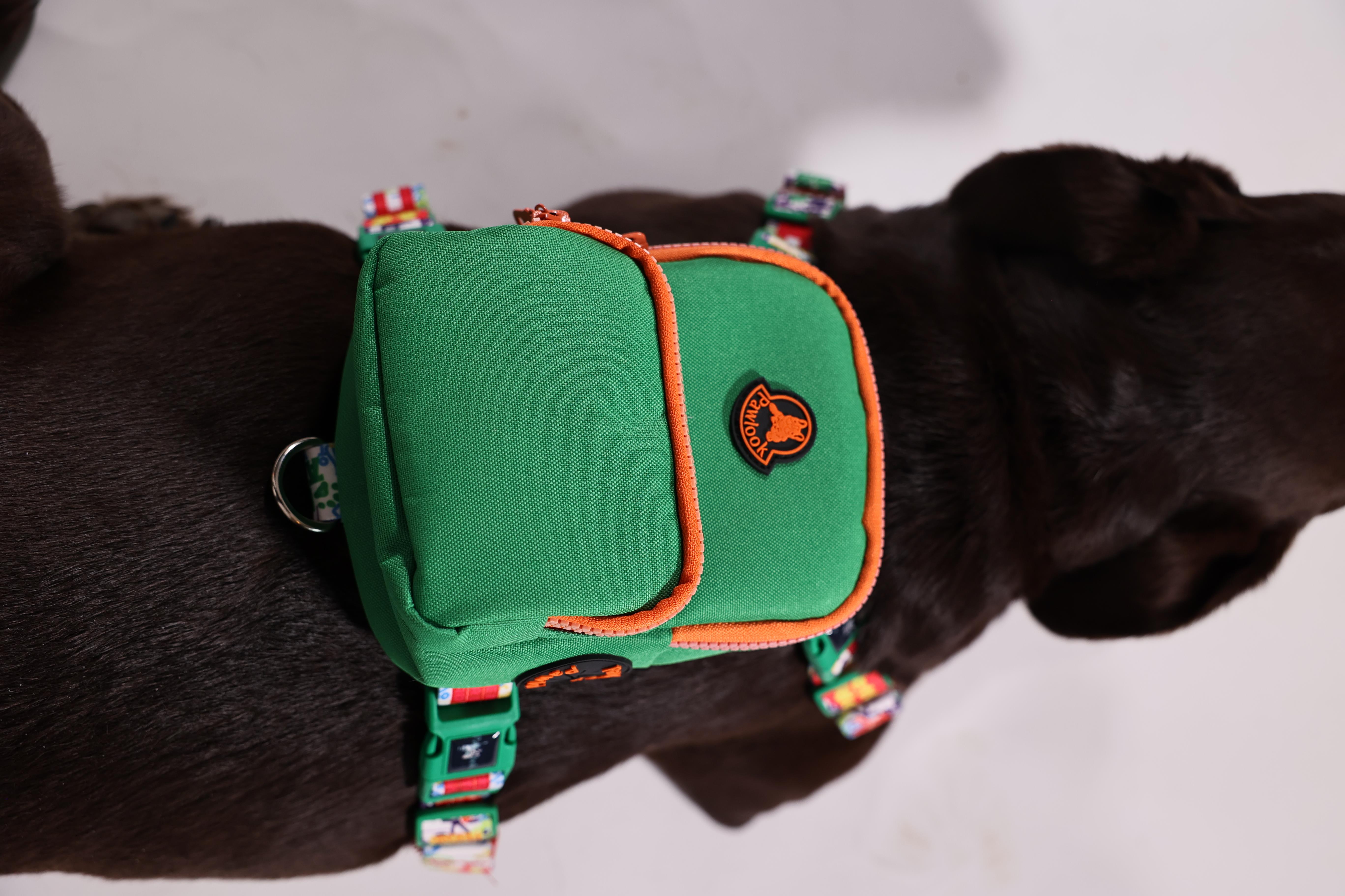 Pawlook Köpek Göğüs Tasması Sırt Çantası Yeşil
