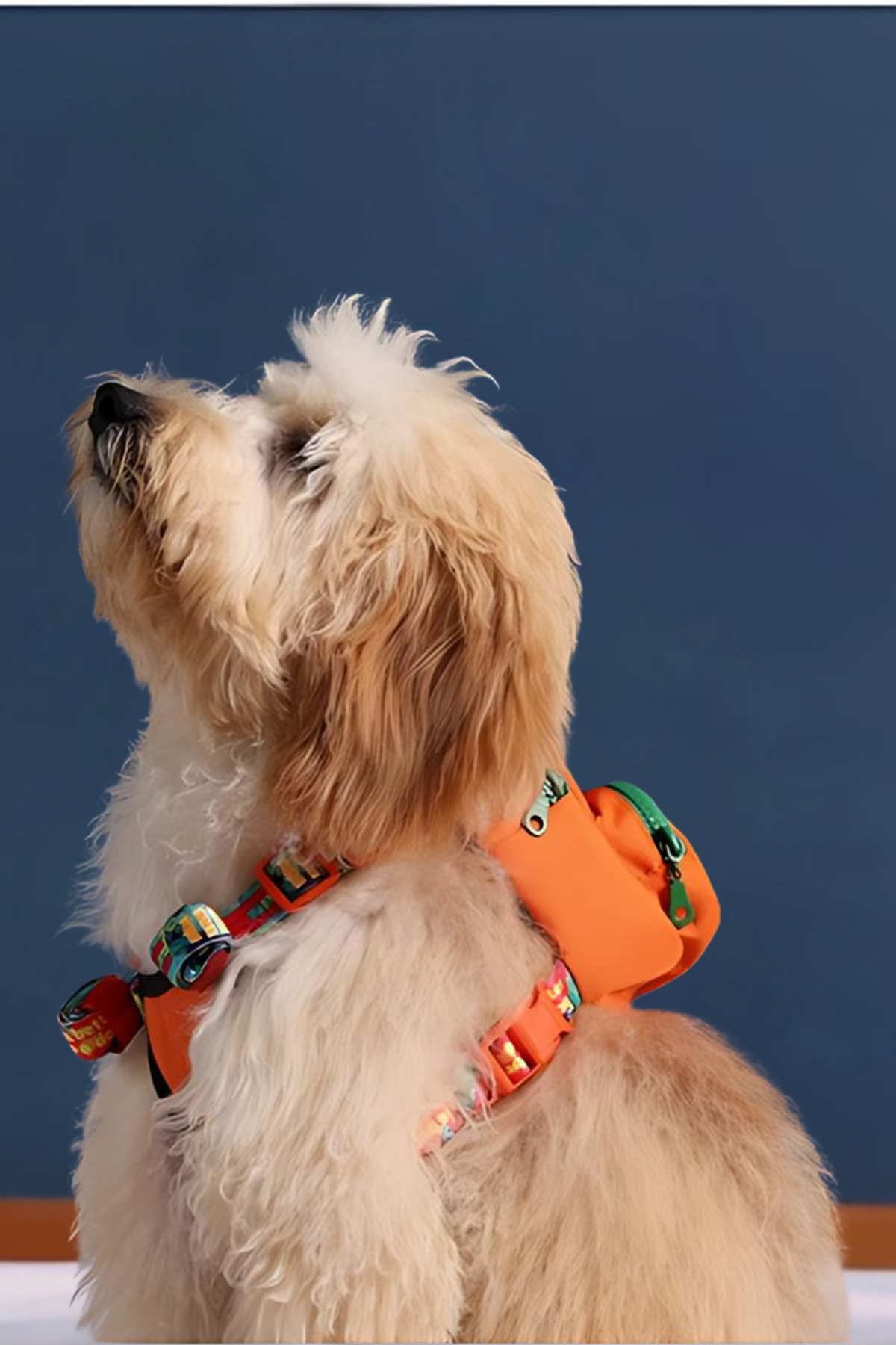 Pawlook Köpek Göğüs Tasması Sırt Çantası Turuncu