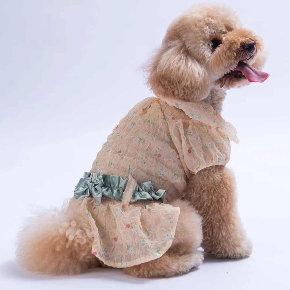 PawStar  Sarı Valencia Elbise