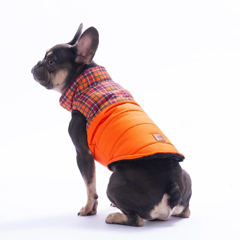 PawStar 25102 Turuncu Elgin Paws Yelek Küçük ve Orta Irk