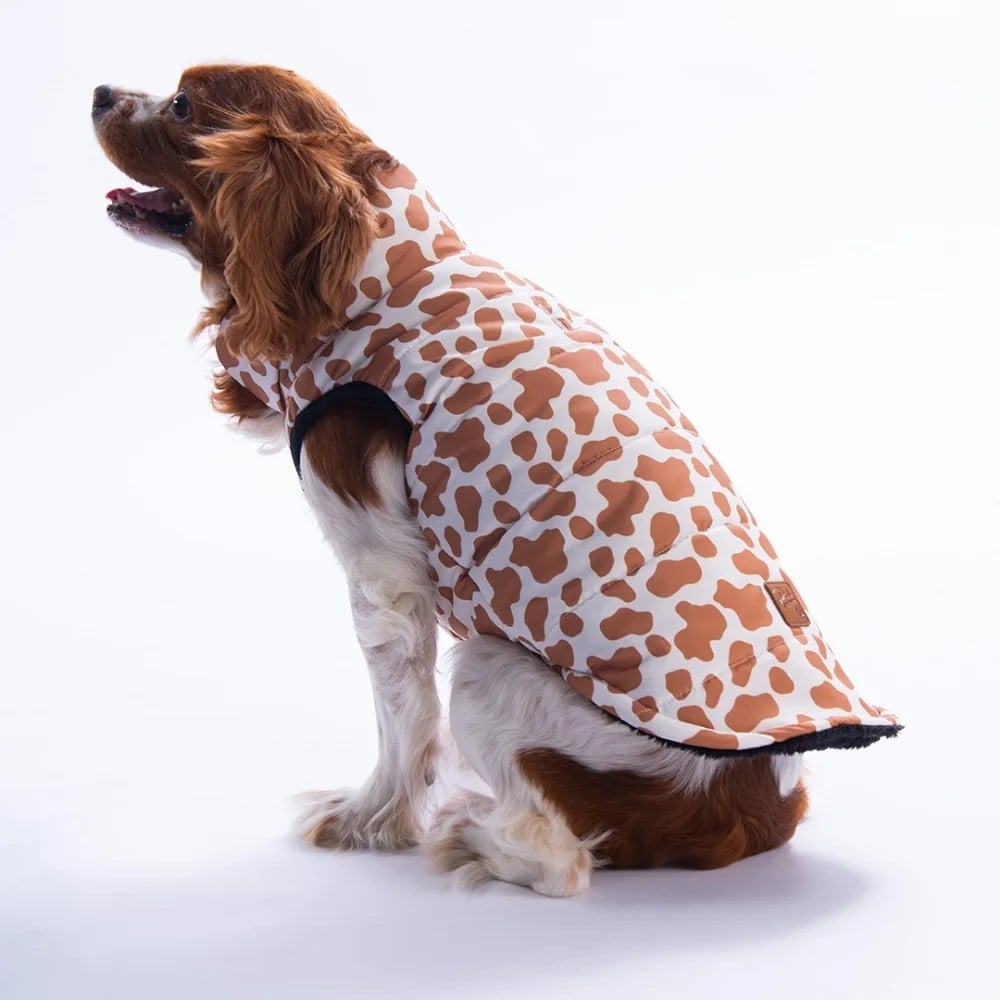 PawStar 25108 Moshi Mood Yelek Küçük ve Orta Irk