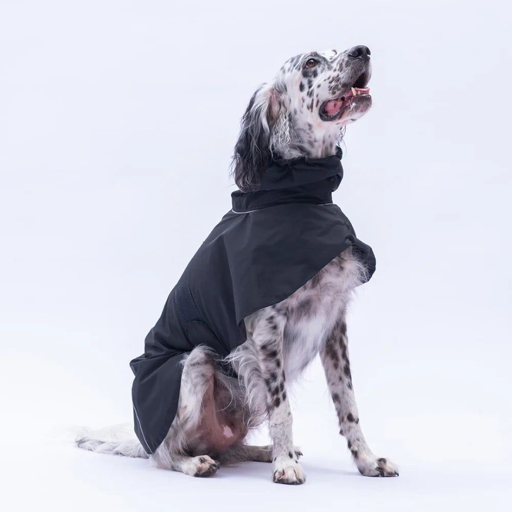 PawStar 25520 Siyah Colombia Prime Yağmurluk Orta-Büyük Irklar