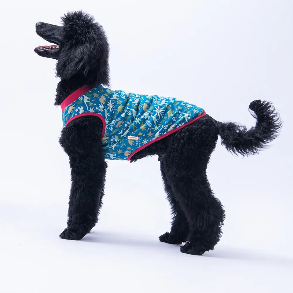 PawStar 25851 Dino Büyük Tişört