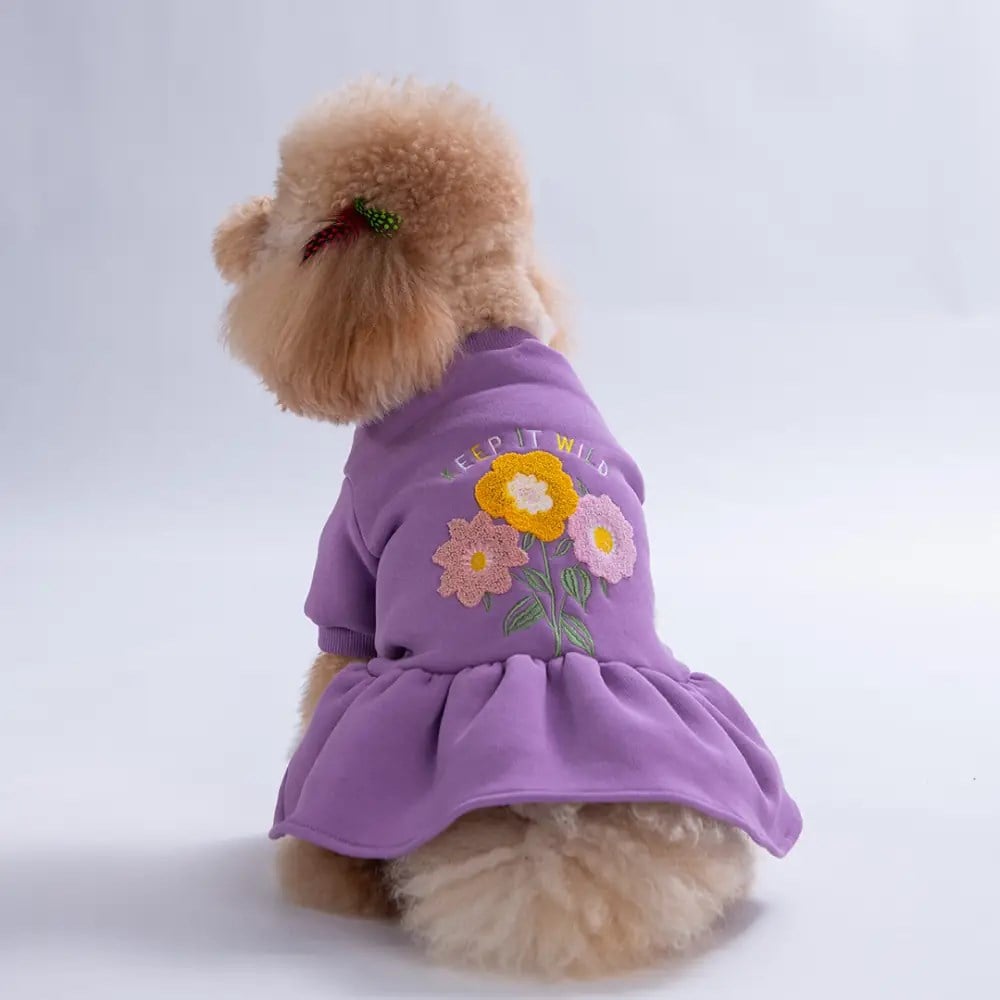 PawStar 26302-Lila Arosa Nivalis Elbise