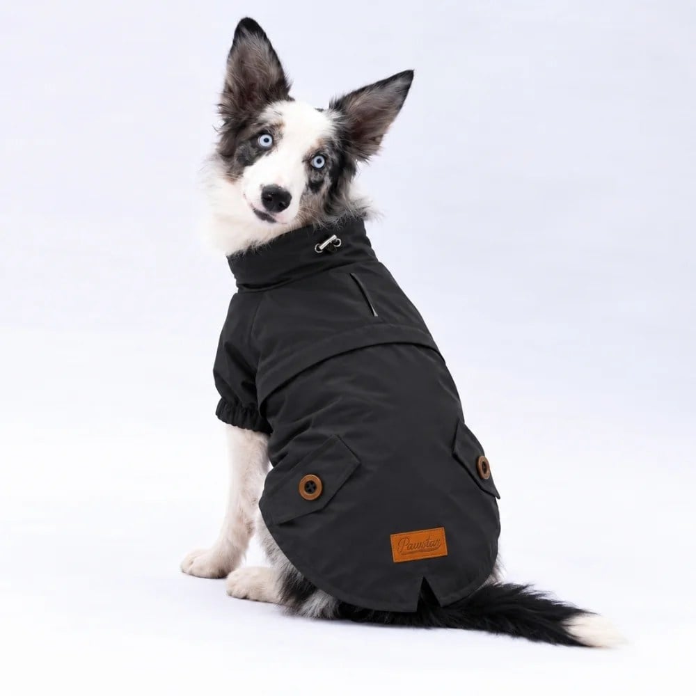 PawStar 26555 Siyah Glasgow Büyük Irk Yağmurluk