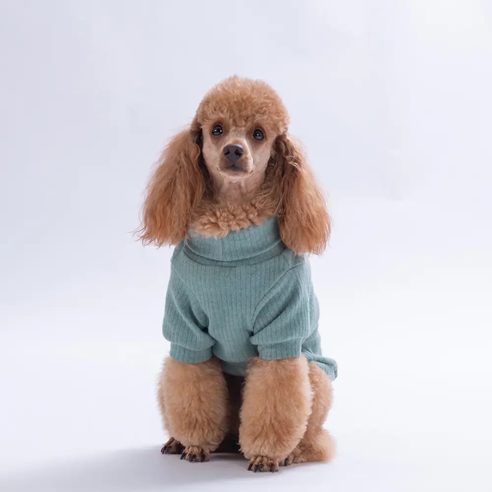 PawStar 26701-Yeşil Teddy Wood Sweat
