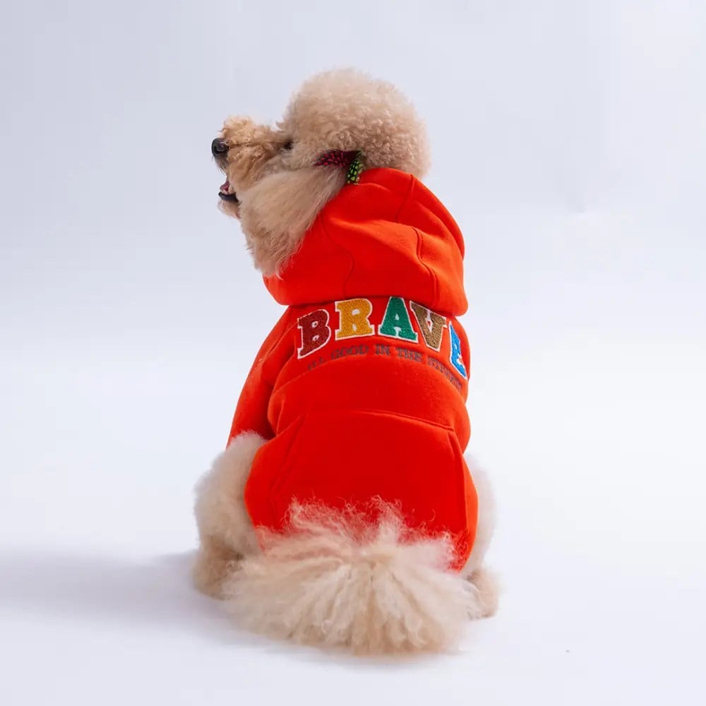 PawStar 26709-Turuncu Bronx Brave Hoodie