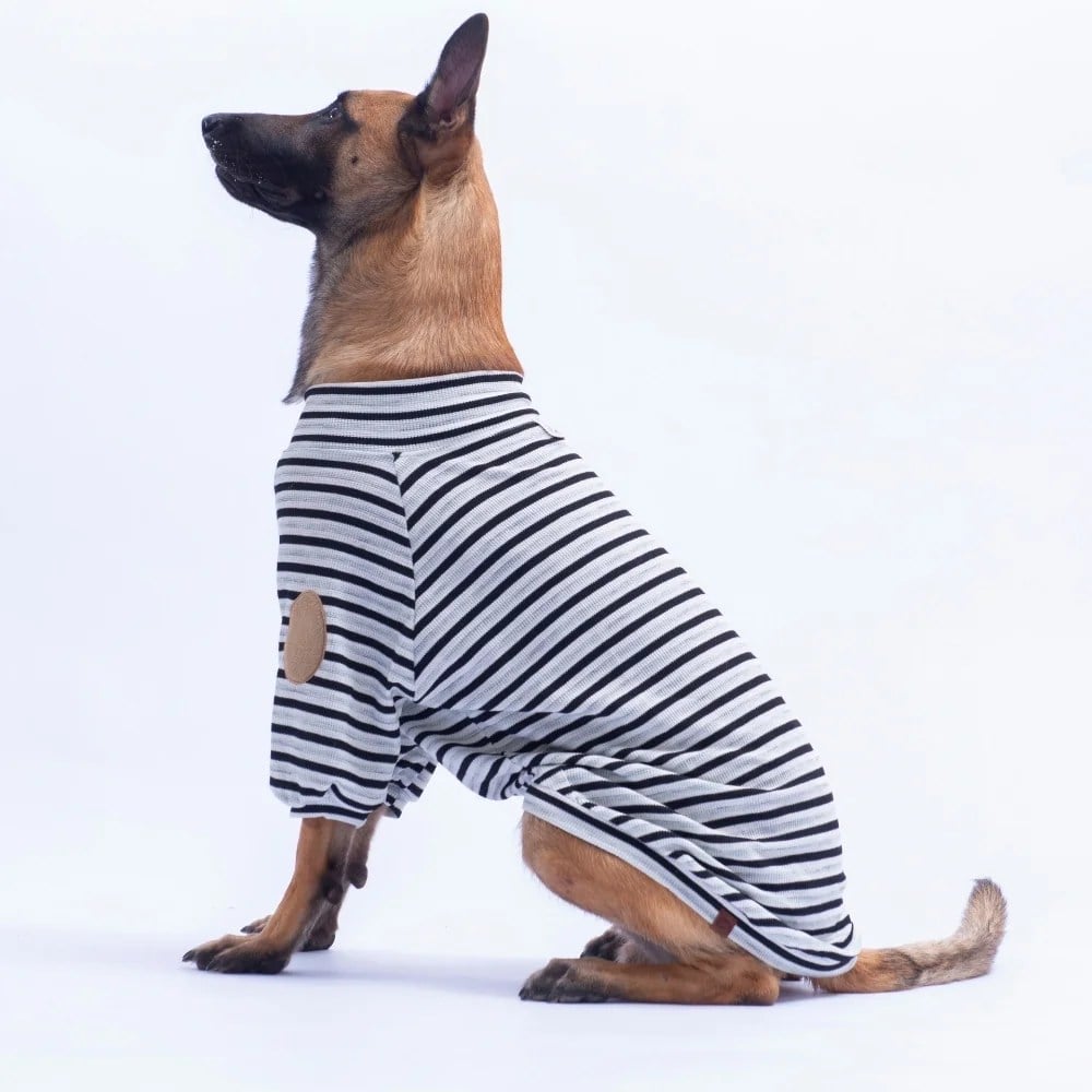 PawStar 26764 Siyah Marseille Softline Büyük Irk Sweat