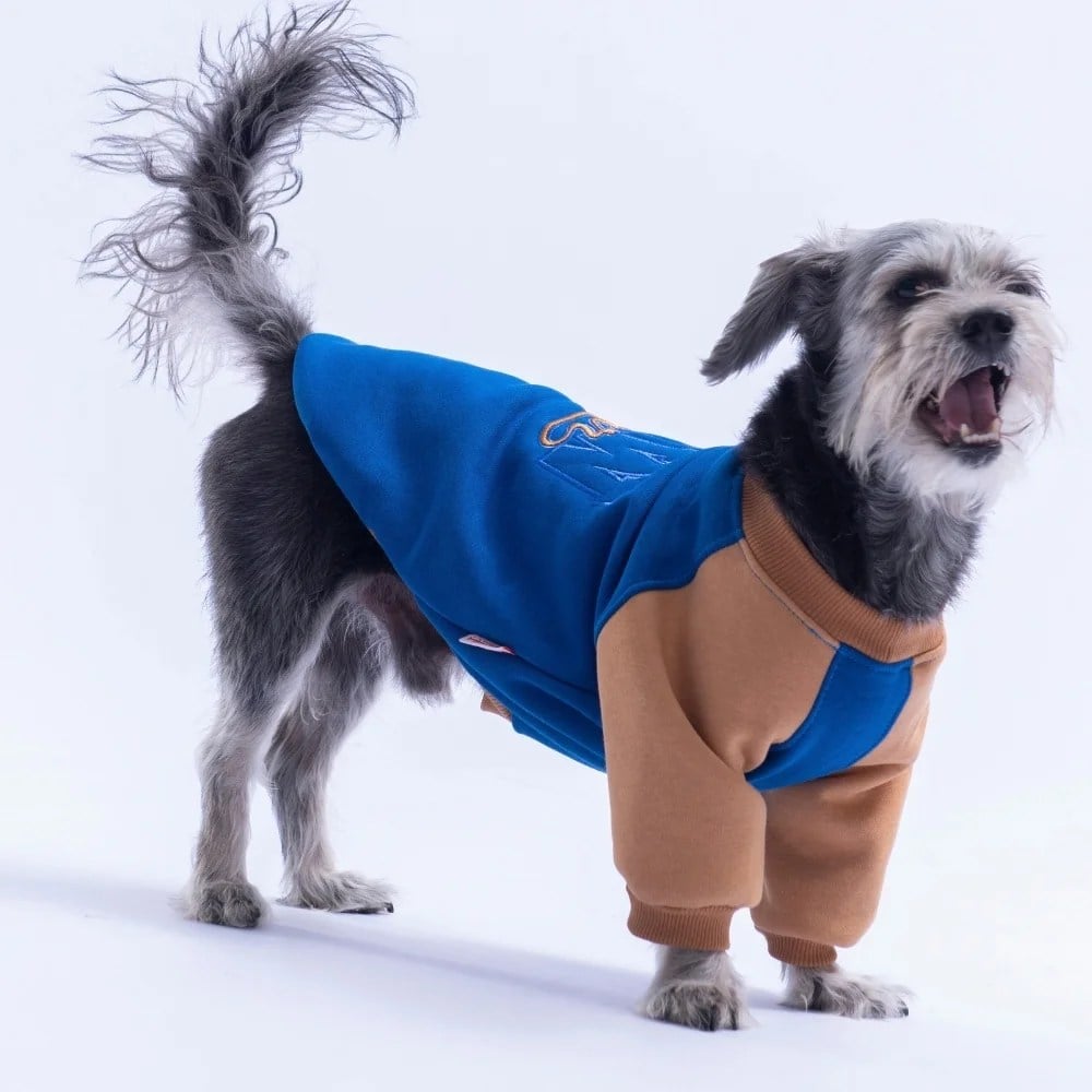 PawStar 26779 Saks Mavi Boston Pawstar Sweat