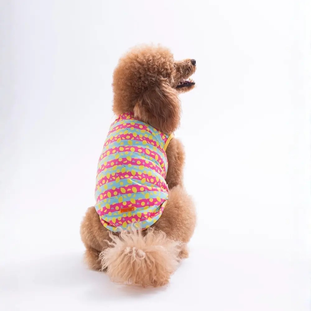 PawStar 26830 Lemon Party Tişört