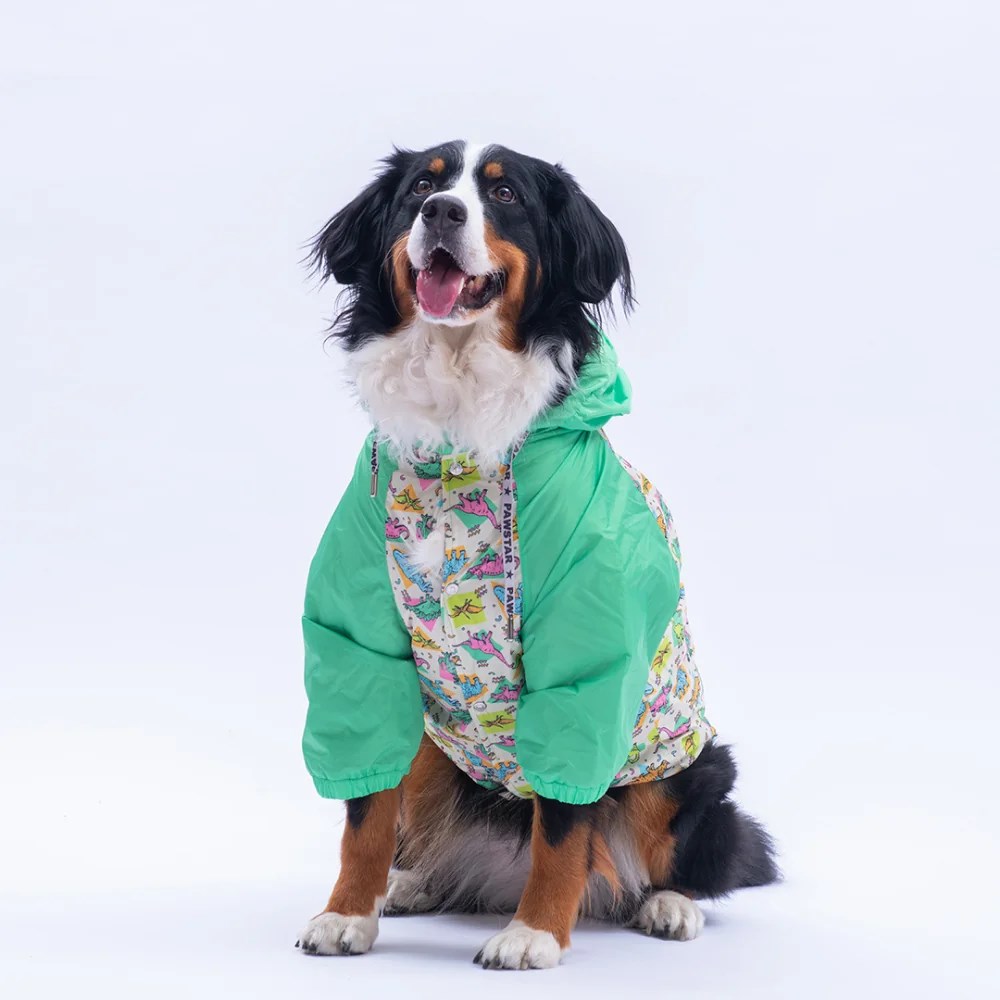 PawStar Denver Dino Büyük Irk Yağmurluk