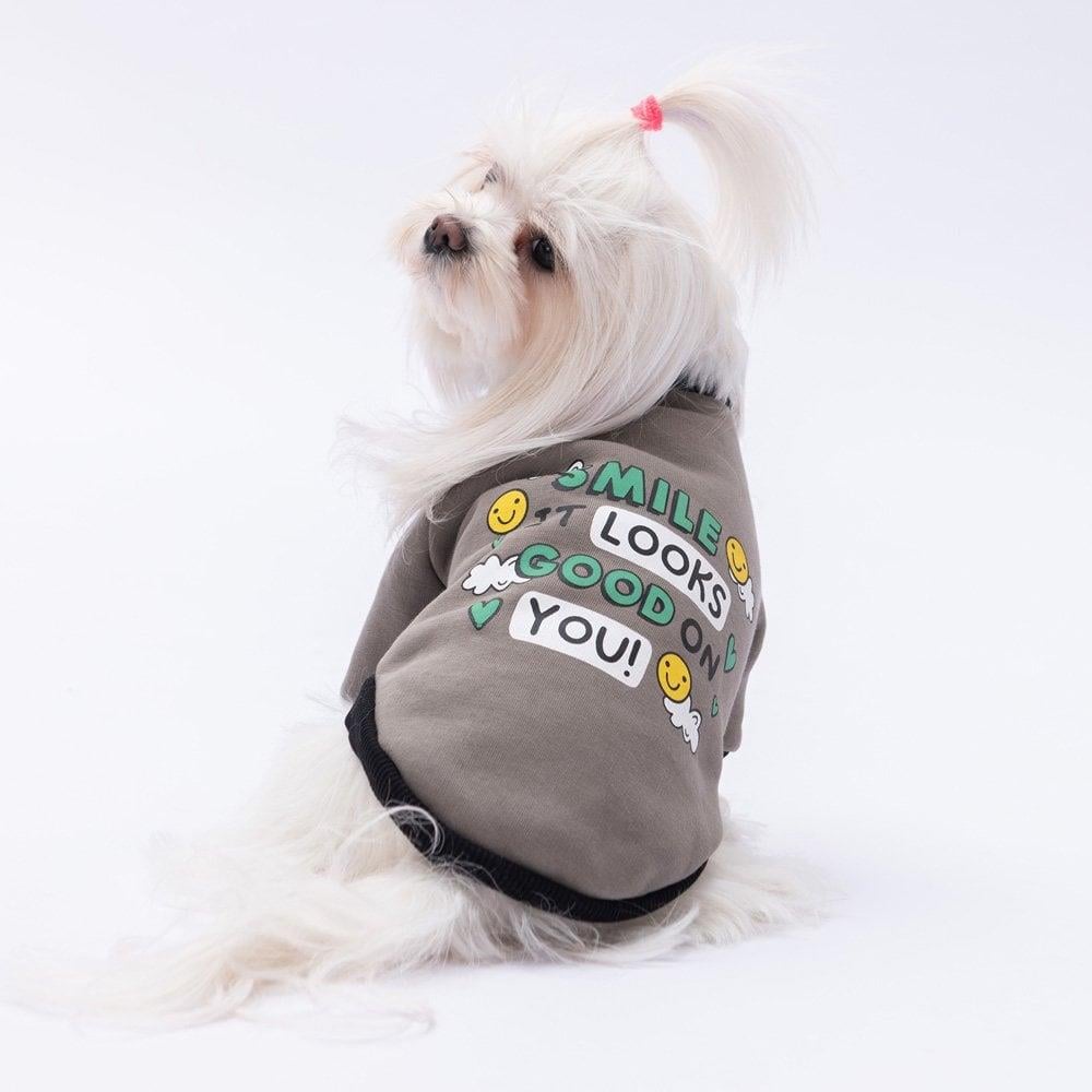 PawStar Füme Loviisa Sweat Küçük ve Orta Irk