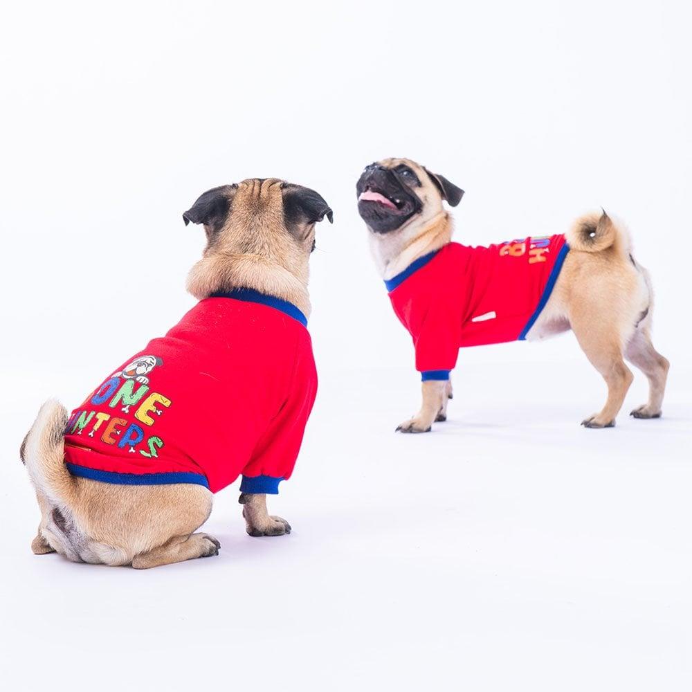 PawStar Kırmızı Bone Hunter Sweat Küçük ve Orta Irk