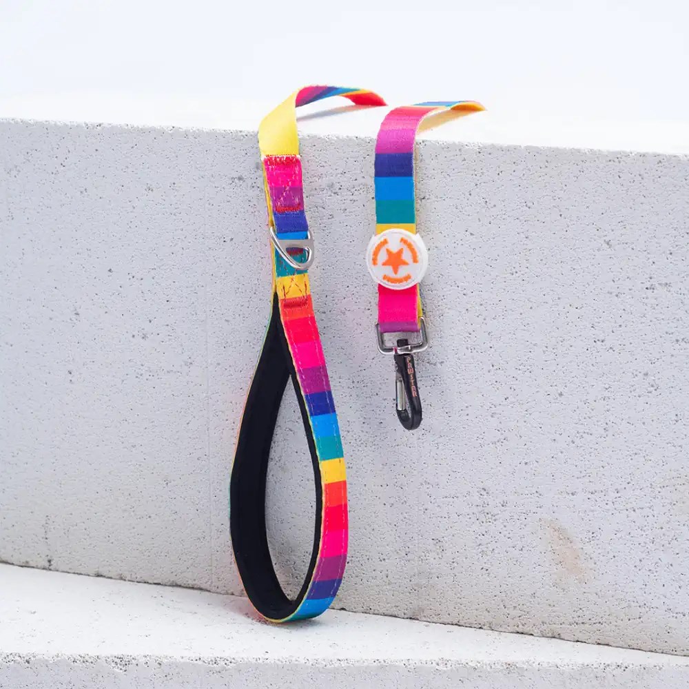 PawStar L34 Rainbow Gökkuşağı Desenli Sevk Kayışı