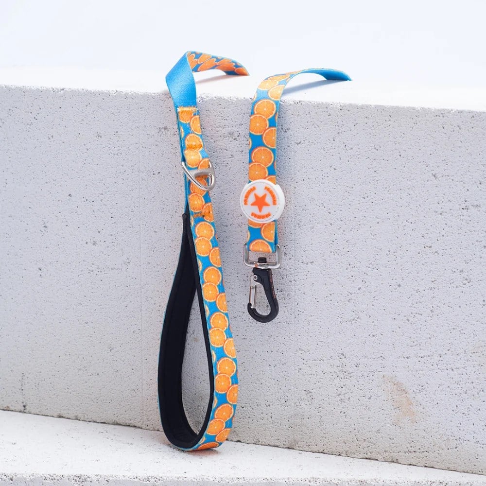 PawStar L37 Citrus Portakal Desenli Sevk Kayışı