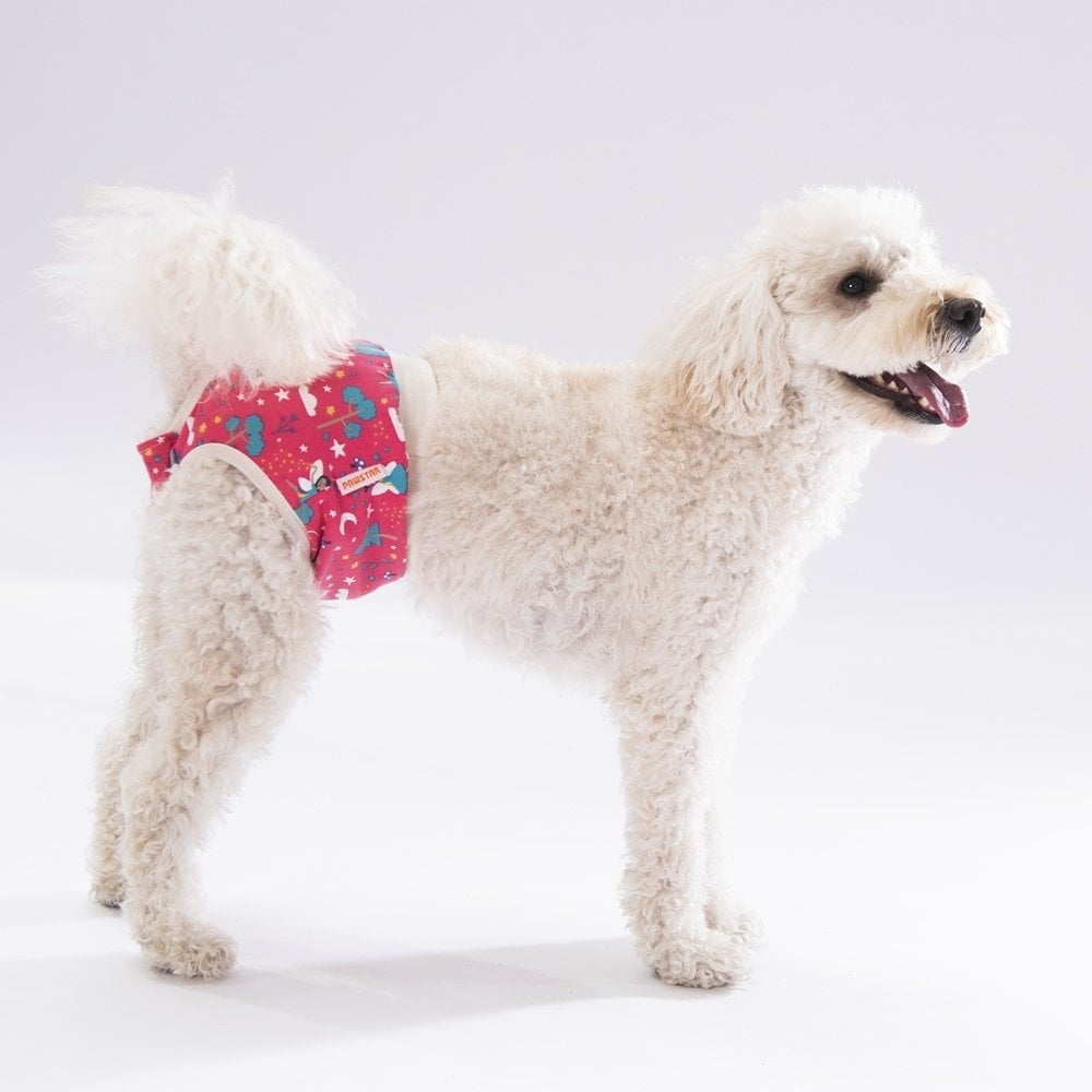 PawStar Mix Çiçekli Çamaşır (Paket de Farklı  Renk ve Desen de 3 Adet Bulunur)