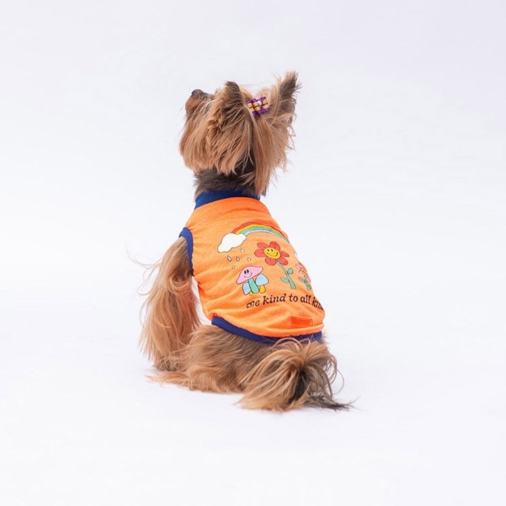 PawStar Neon Turuncu Be Kind T-Shirt Küçük Irk
