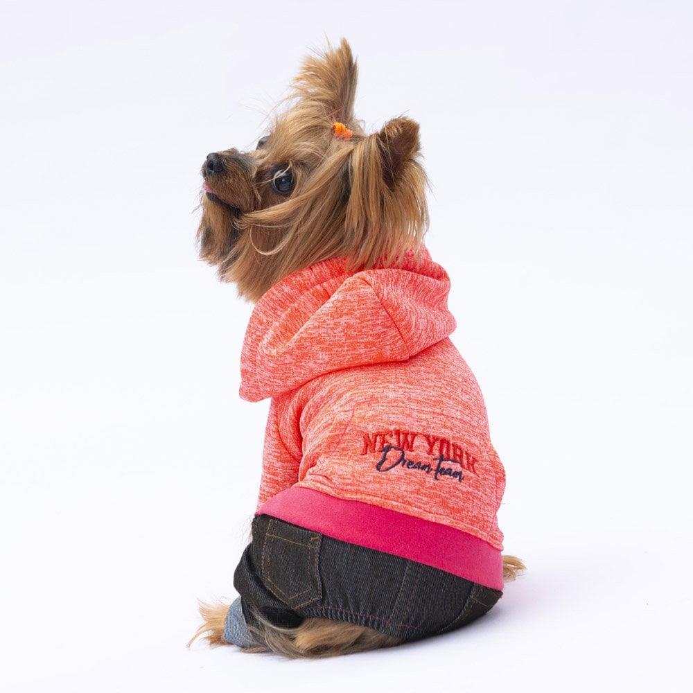 PawStar Pembe New York Tulum