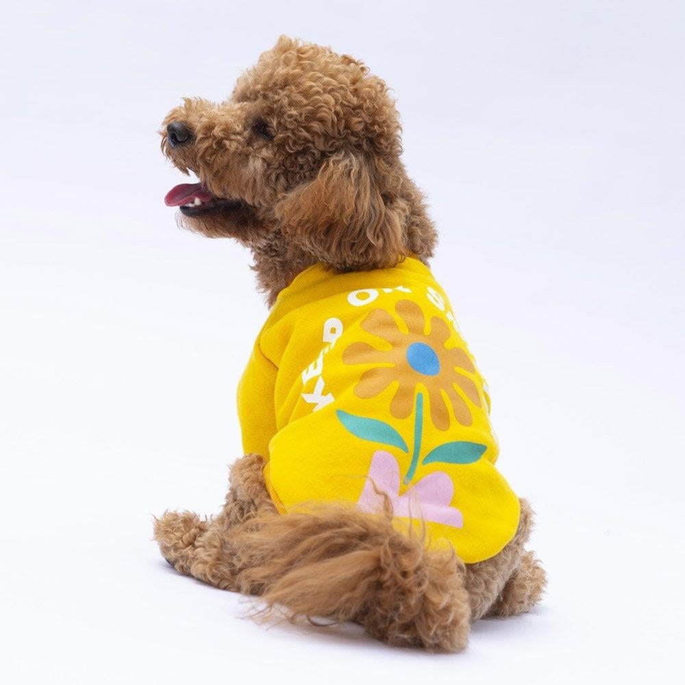 PawStar Sarı Lahti Sweat Küçük ve Orta Irk