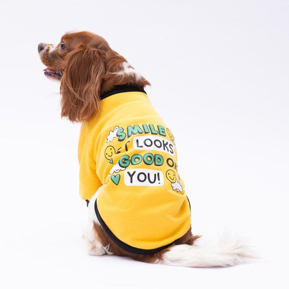 PawStar Sarı Loviisa Sweat Küçük ve Orta Irk