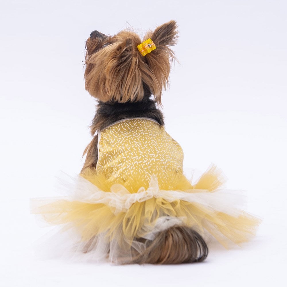PawStar Sarı Polka-Dot Elbise