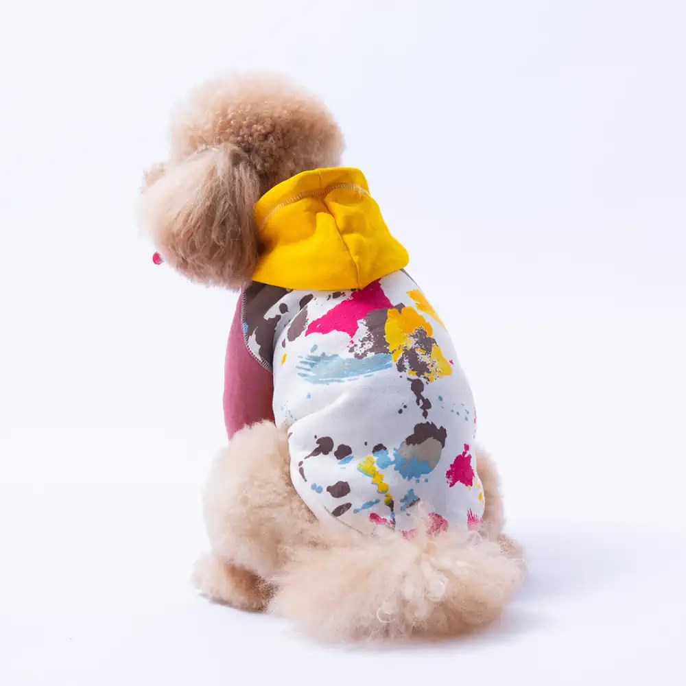 PawStar Sarı Rio Hoodie Küçük ve Orta Irk