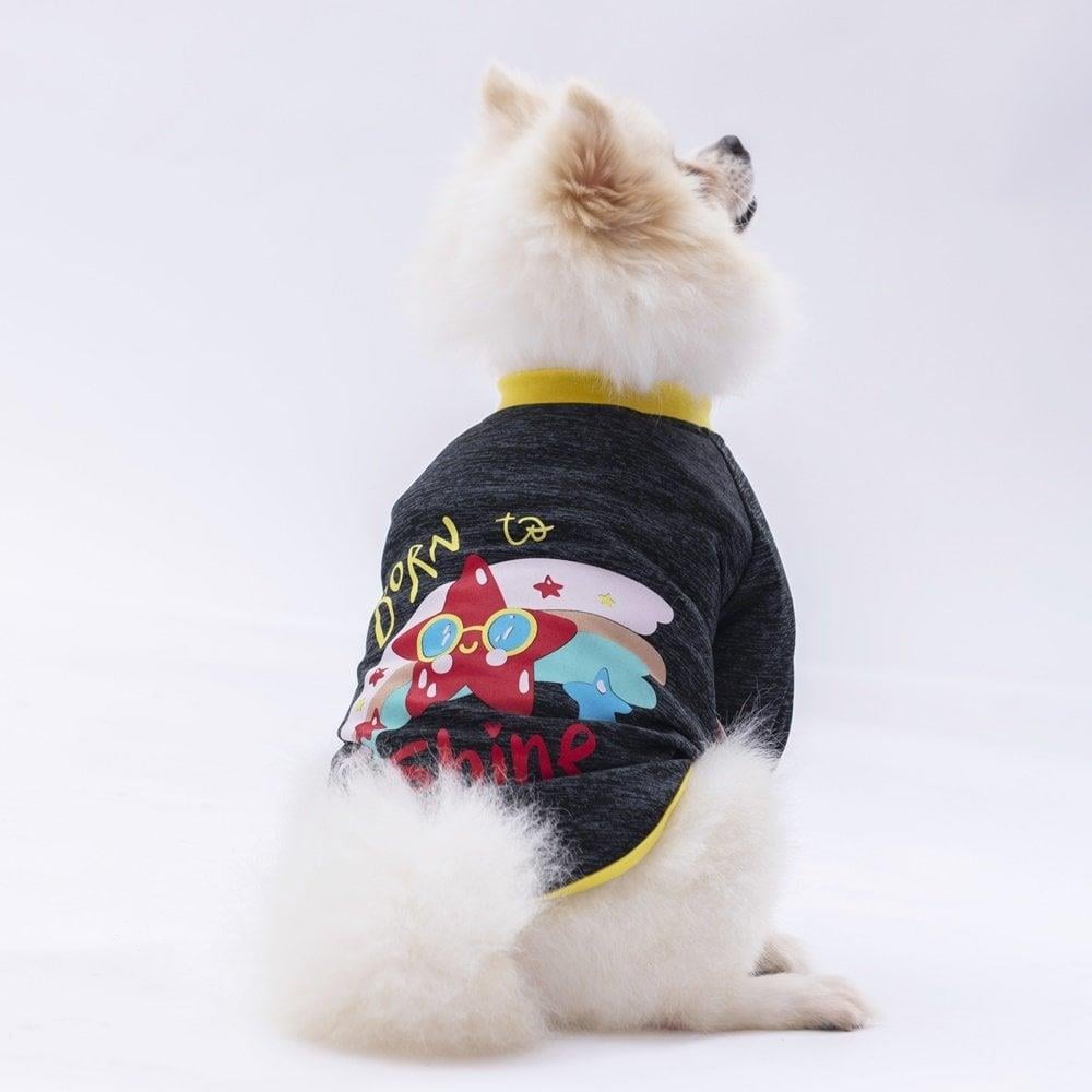 PawStar Siyah Shine Küçük Irk Sweat
