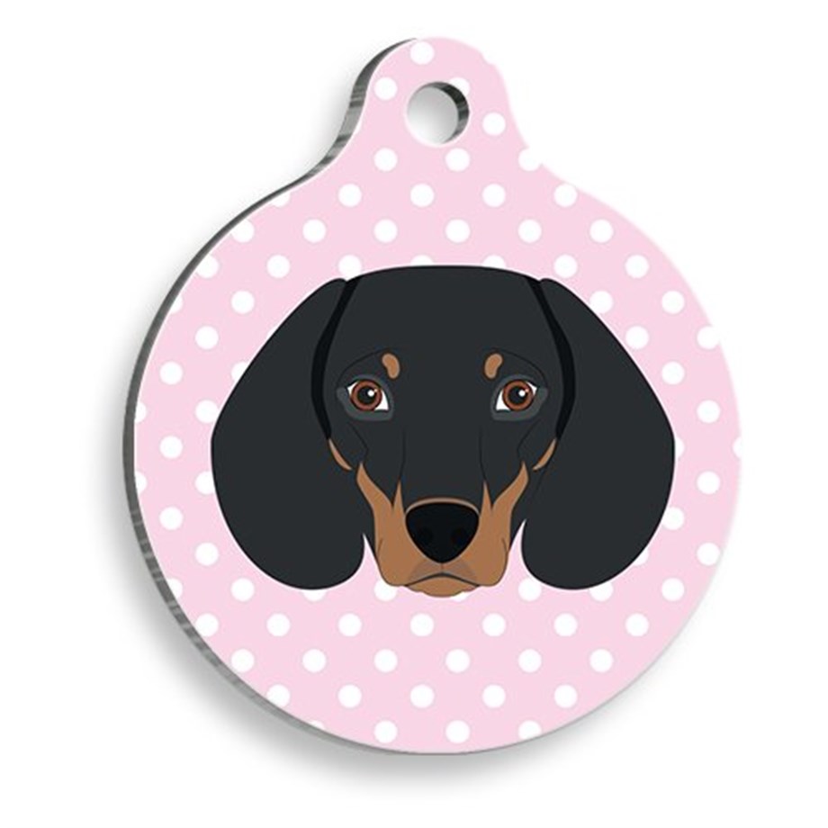 Pembe Puantiyeli Dakhund Sosis Köğeği Yuvarlak Köpek Künyesi