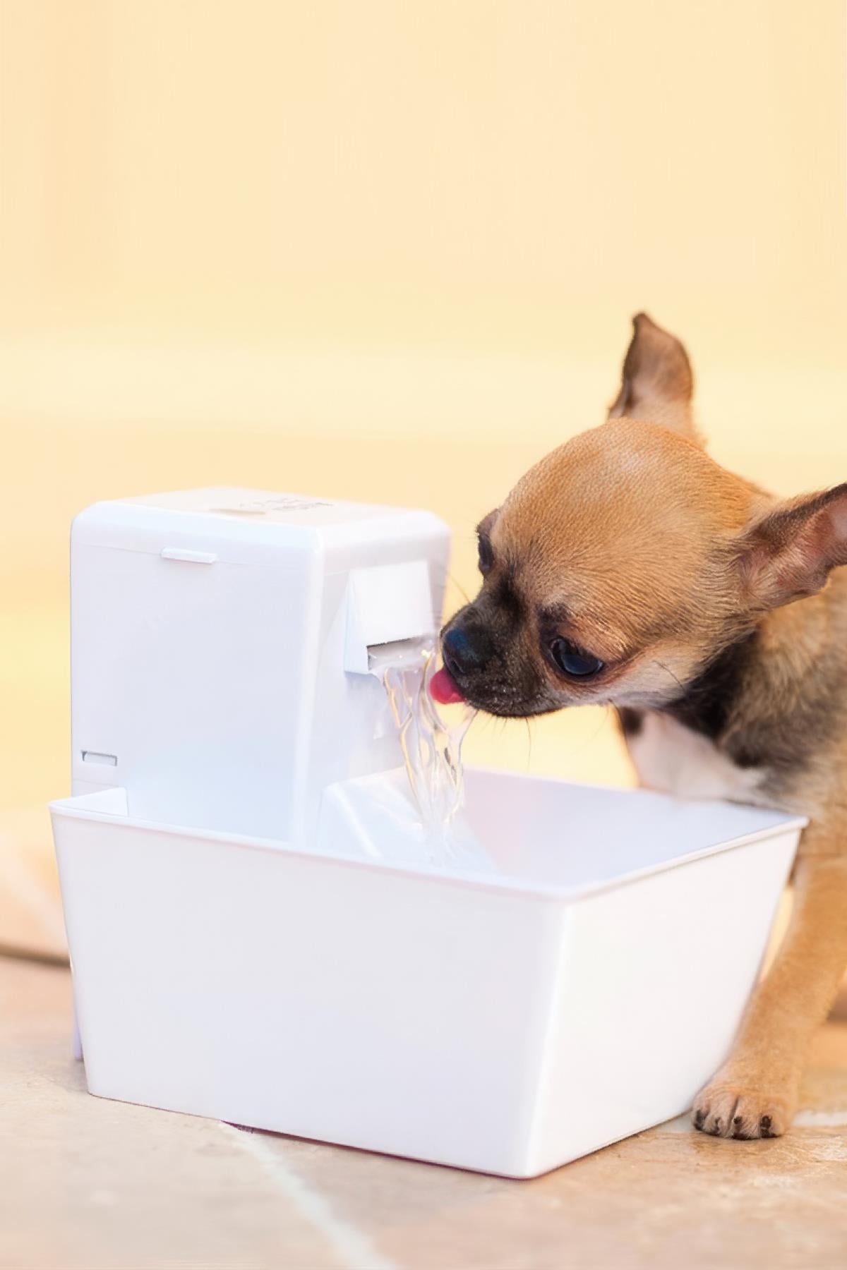 Petsafe Aqua Cube Water Pinari