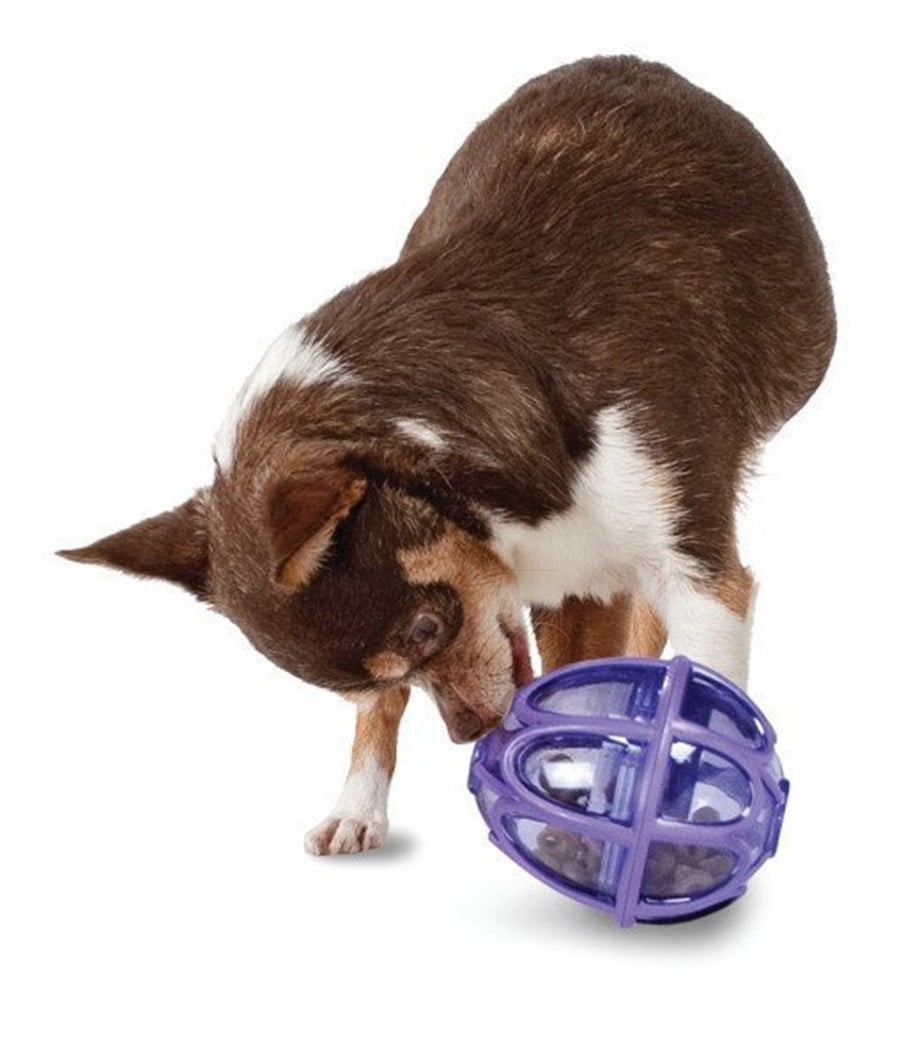 PetSafe Busy Buddy Atıştırmalık Topum M/L