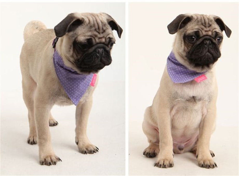 Pinkaholic Margie Bandana Lila