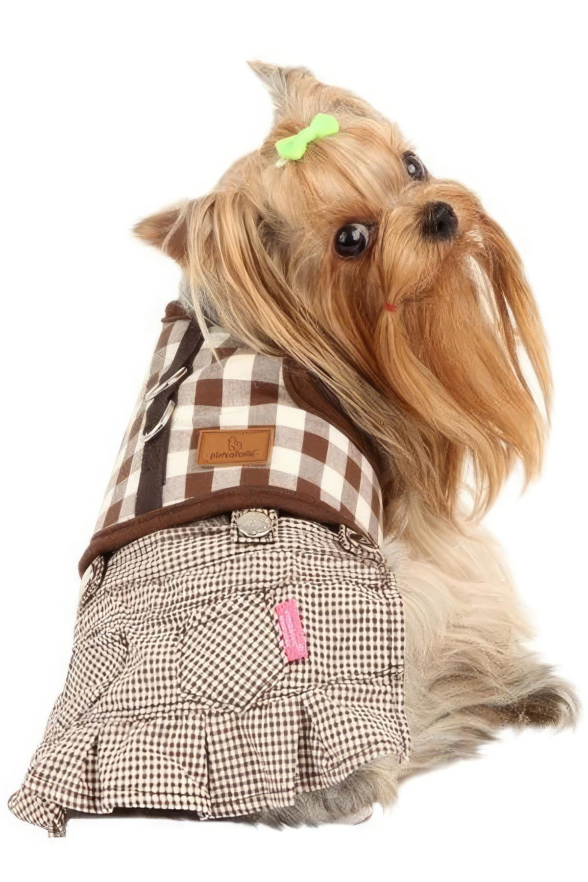 Pinkaholic Motley Etek Kahverengi